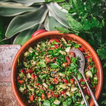 overhead shot of lemony lentil salad with spoons