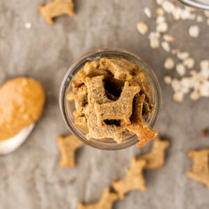 close up overhead shot birds eye view of dog treats