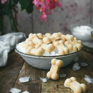 side view of a bowl of frozen yogurt peanut butter dog treats