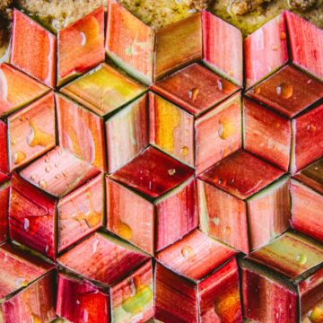 overhead shot of a tessellated rhubarb cake before baking